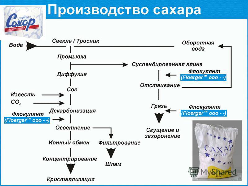 Процесс получения сахара. Стадии получения сахара. Производство сахара. Схема производства сахара из свеклы.