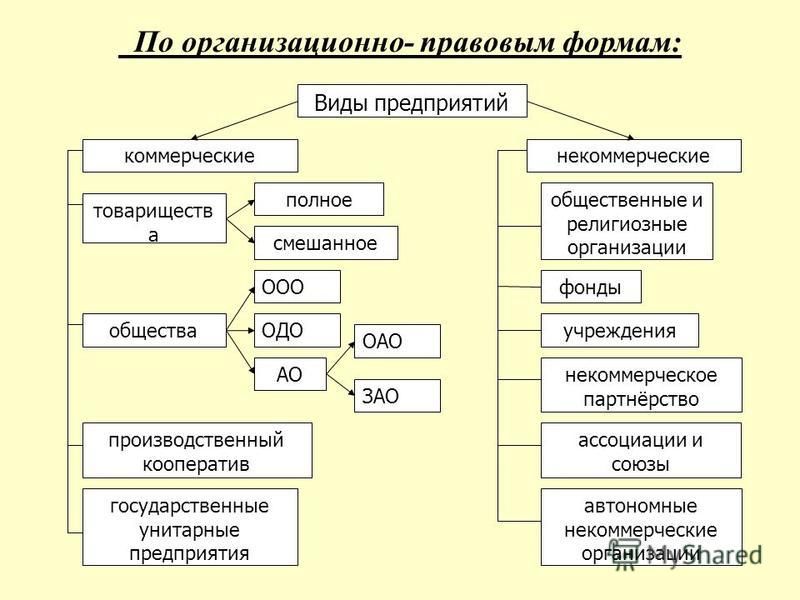 Форма организации виды