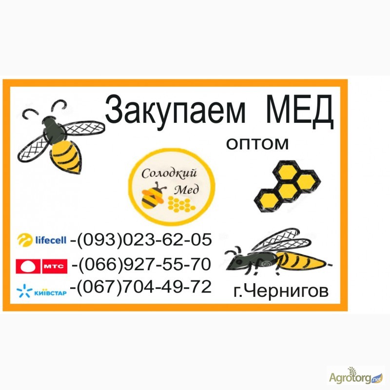 Сдача меда. Оптовая закупка мёда. Закупка мёда. Куда можно сдать мед оптом. Куда можно реализовать мед.