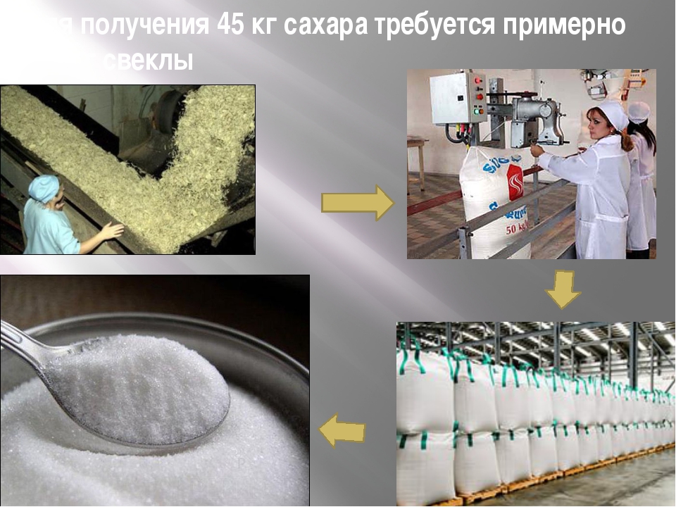 Из чего получают сахар. Производство свекловичного сахара. Производство сахара из сахарной свеклы. Сырье для производства сахара. Из чего изготавливают сахар.