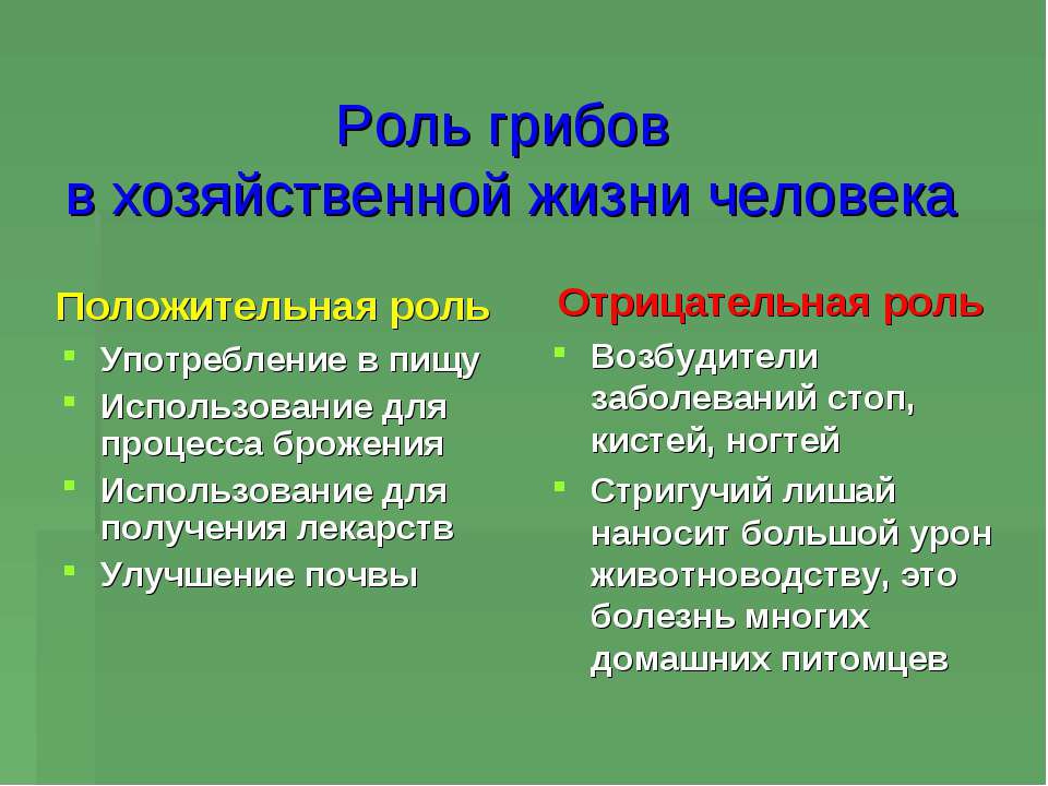 Какую роль грибы играют в жизни человека. Роль грибов положительная и отрицательная таблица. Положительная роль грибов в природе. Отрицательная роль грибов в природе. Плюсы и минусы грибов в жизни человека.