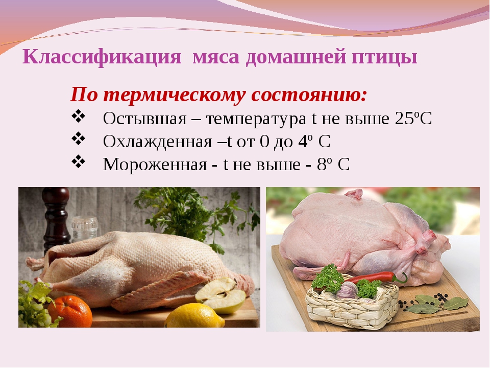 Сколько птицы мяса. Классификация мяса птицы. Классификация мяса домашней птицы. Классификация мяса птицы по термическому состоянию. Мясо птицы презентация.