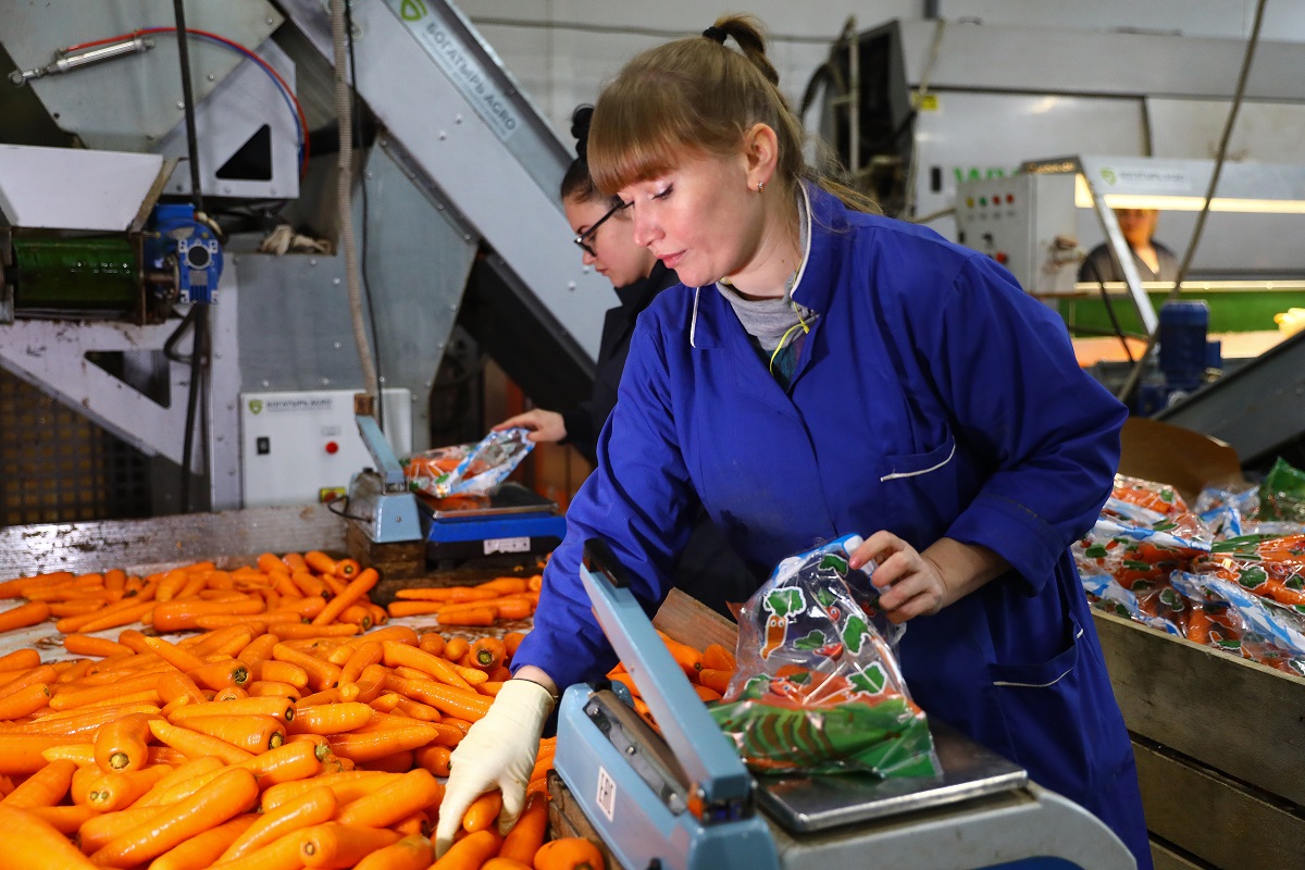 Какой бизнес предлагают. Склад овощей. Прибыльный малый бизнес в Москве. Упаковщица овощей. Готовые рынки.