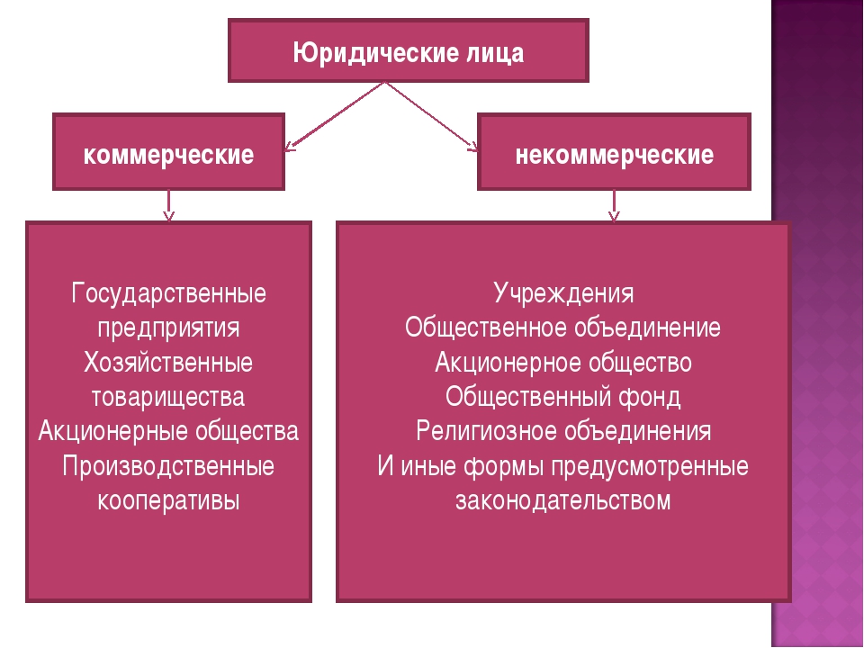 Чем отличается коммерческая. Коммерческие и некоммерческие юридические лица. Коммерческие и некоммерческие лица примеры. Некоммерческие юрид лица. Коммерческие и некоммерческие юридические лица примеры.