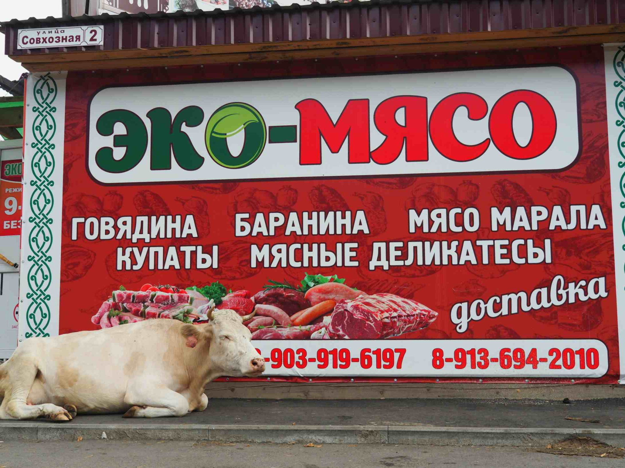 Слогон. Мясной магазин баннер. Мясной магазин вывеска. Баннер для магазина мяса. Рекламный баннер мясной магазин.