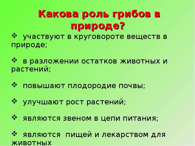 Какова роль природы в жизни. Роль грибов в природе 5 класс биология. Какова роль грибов в природе 5 класс биология. Роль грибов в природе 5 класс кратко. Сообщение грибы и их роль в природе и жизни человека.